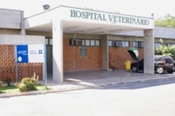 Reabertura do Hospital Veterinário
